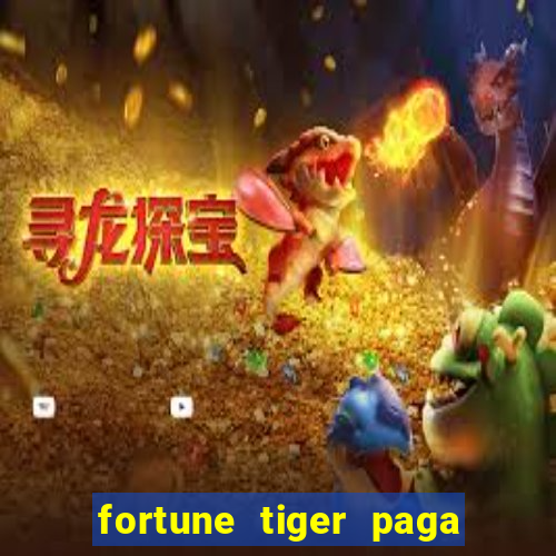 fortune tiger paga de madrugada